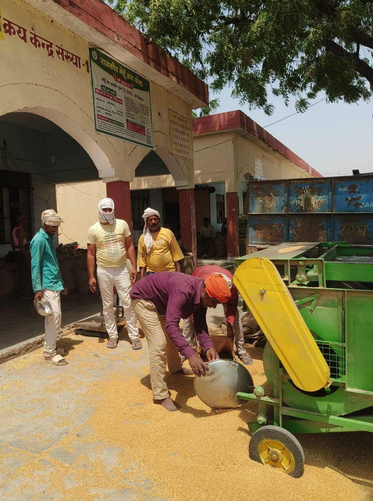 Increase in wheat procurement following the end of the farmer registry requirement