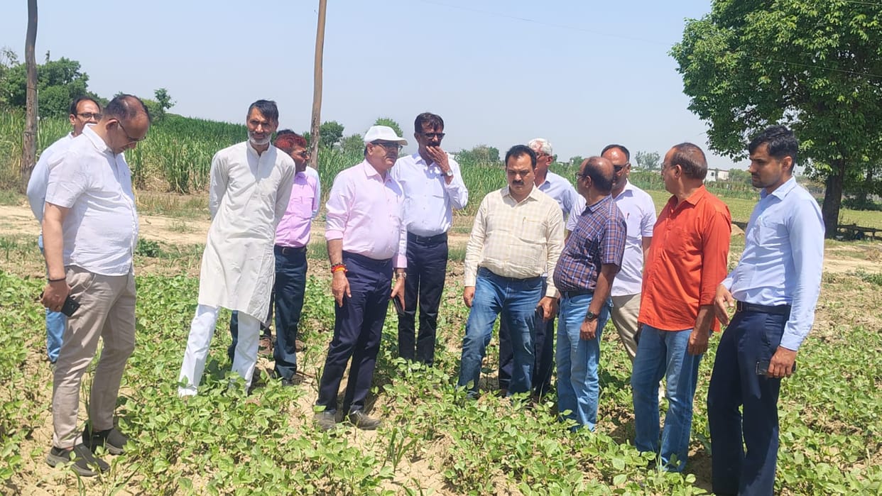 Adopt modern technology to increase sugarcane production: Dr. VB Singh