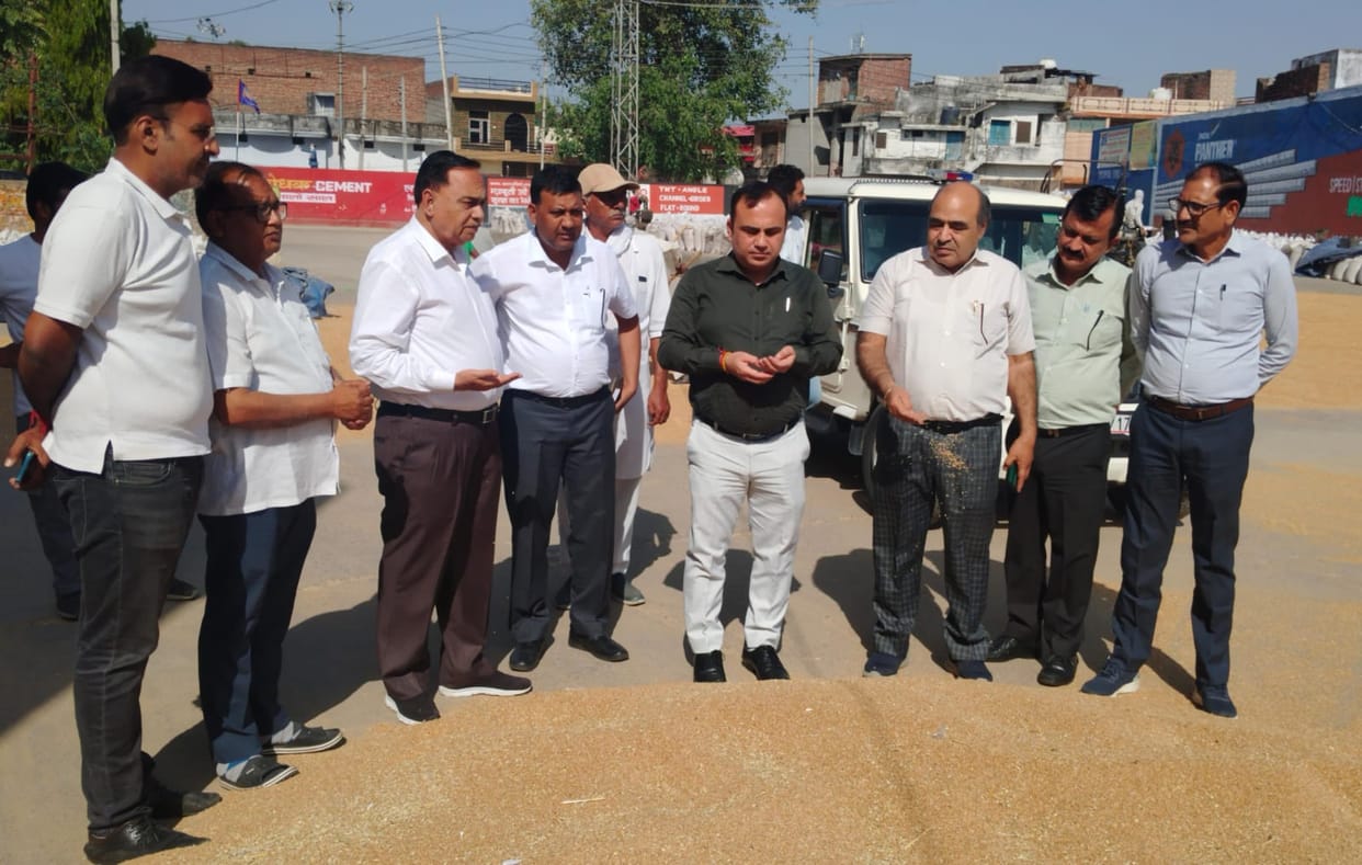 SDM Inspects Wheat Procurement Operations