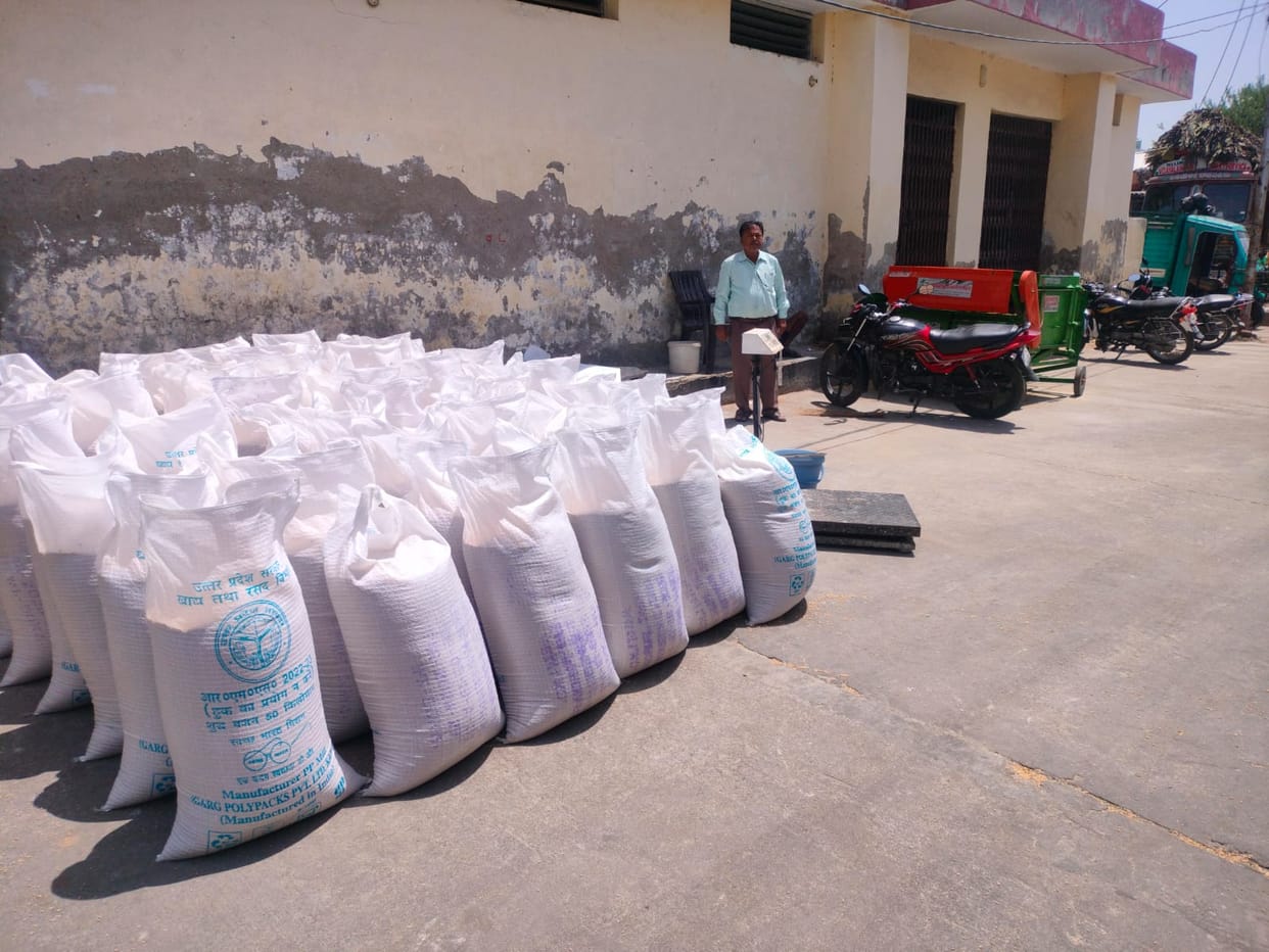 Better prices than the market, instant payments... farmers flock to government centers