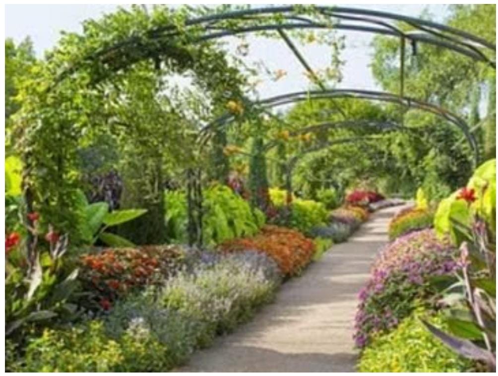 The plan to build gardens in municipal bodies is in cold storage, the dream of greenery is being shattered.