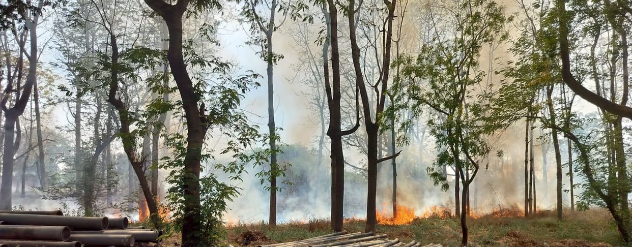 Fire breaks out in trees within Civil Hospital premises; chaos ensues.