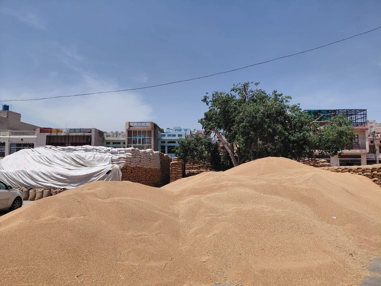 Pace of Wheat Lifting Slow; Commission Agents and Farmers Demand Acceleration