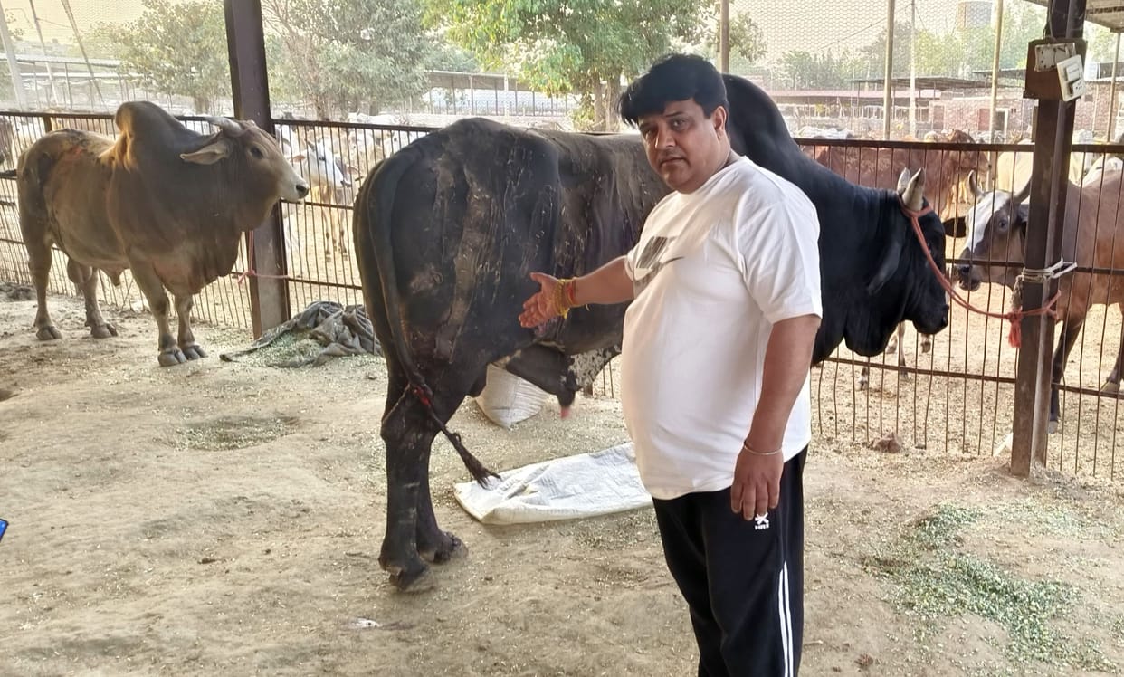 Members of the Gau Seva Dal protested against the act of throwing acid on cattle.