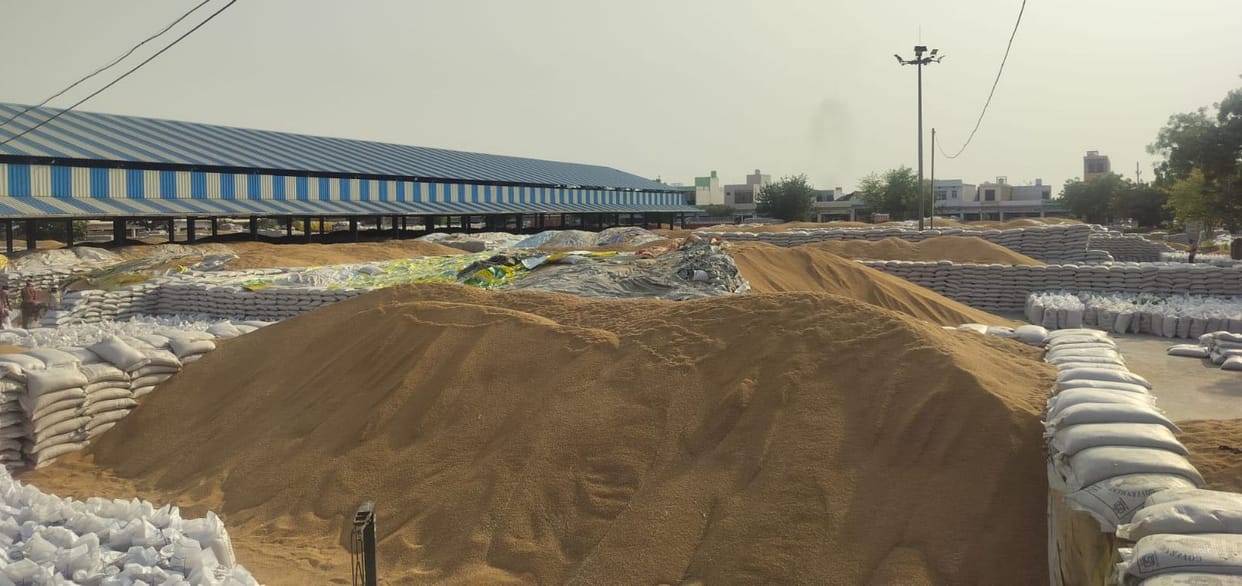 Wheat Procurement Continues; Slow Lifting Increases Pressure in Mandis