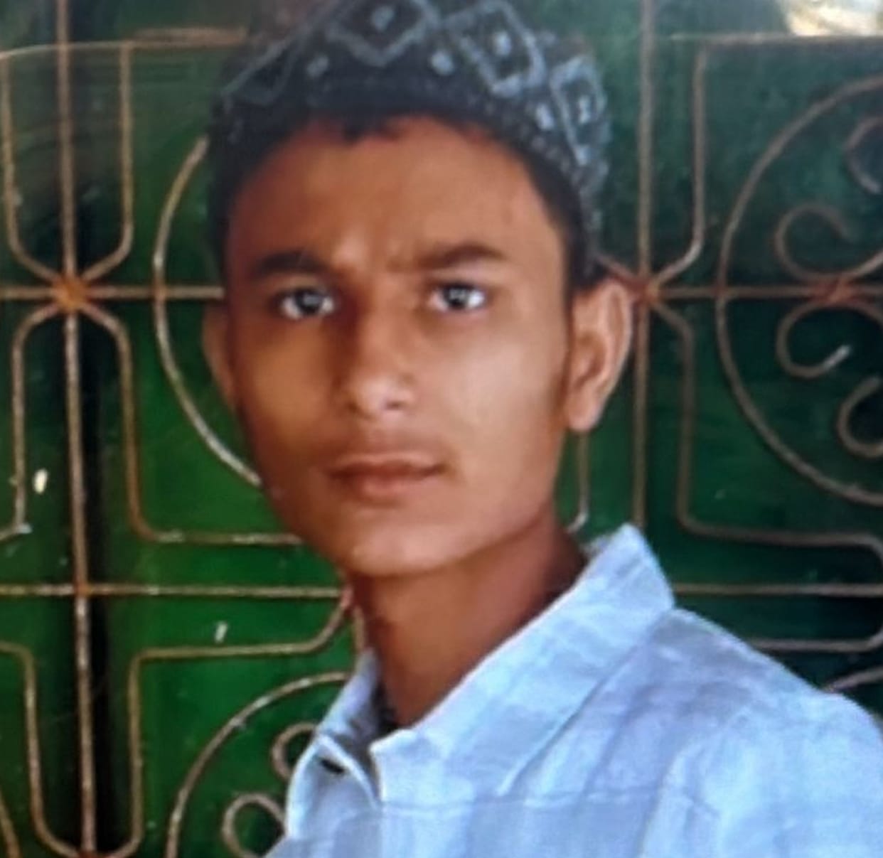 Teenager jumps from roof after being chased by monkeys, dies