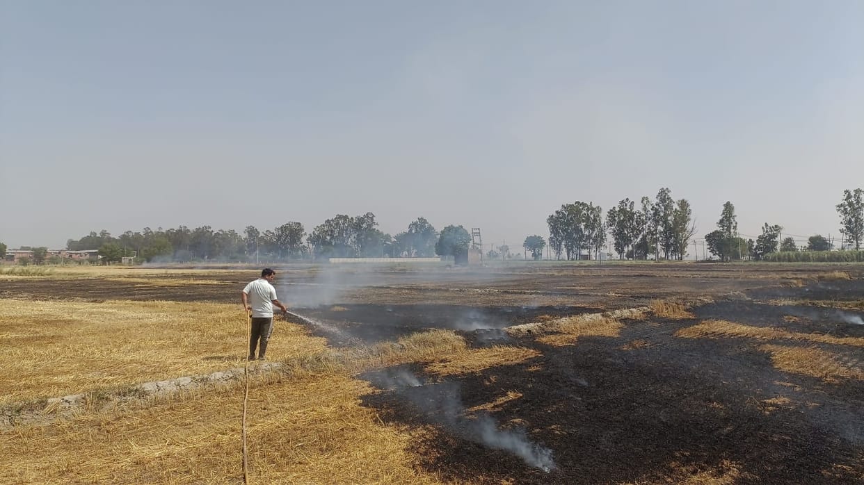 Wheat fields and bushes caught fire