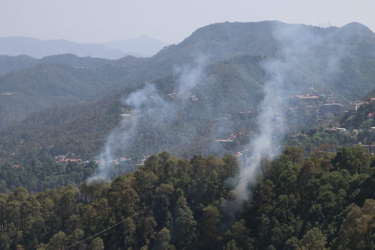 Forest fire broke out near the barrier, firefighters brought it under control