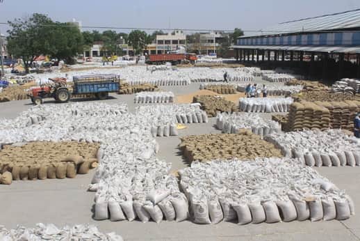 करनाल नई अनाज मंडी में रखी गेंहू की बोरियां। संवाद