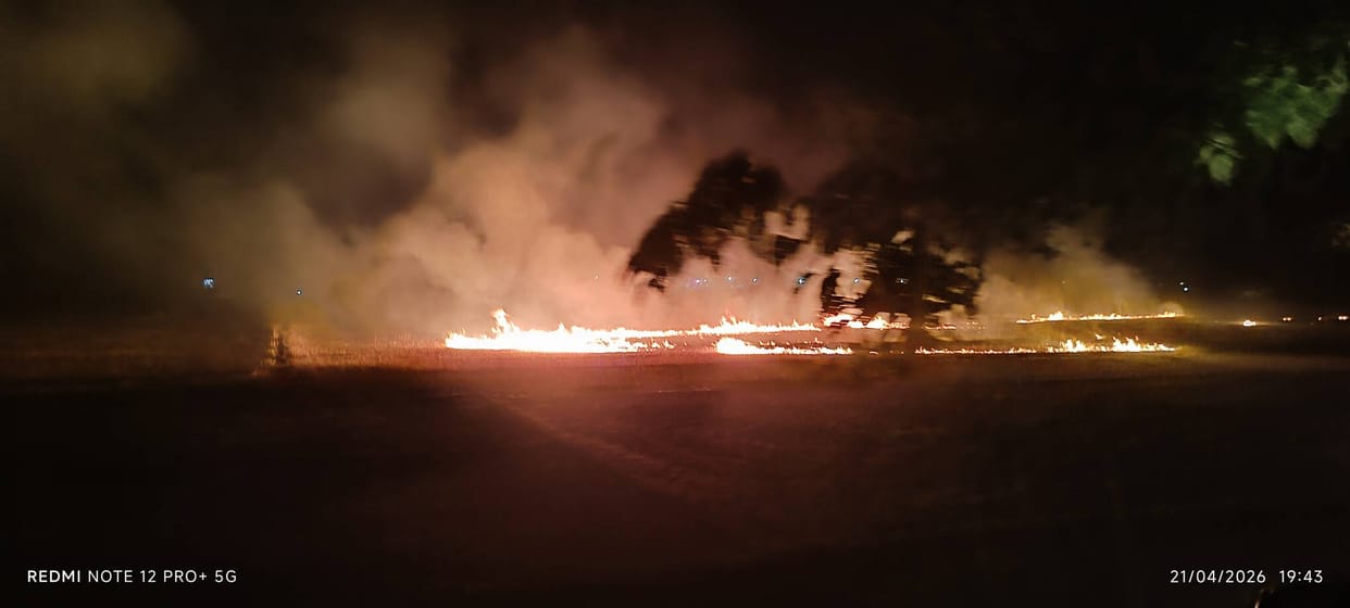 Crop Stubble Being Burnt Rampantly in Sukrauli; Risk of Fire Incidents Rises