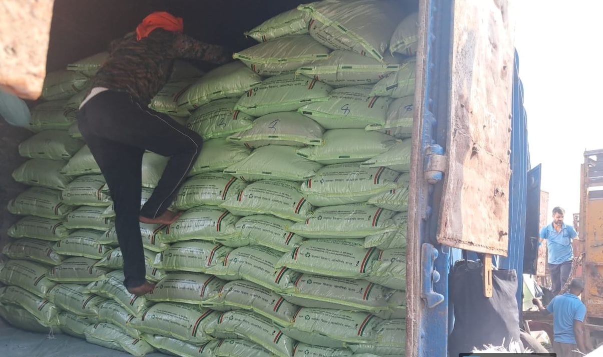 Free grain distribution for ration cardholders begins today.