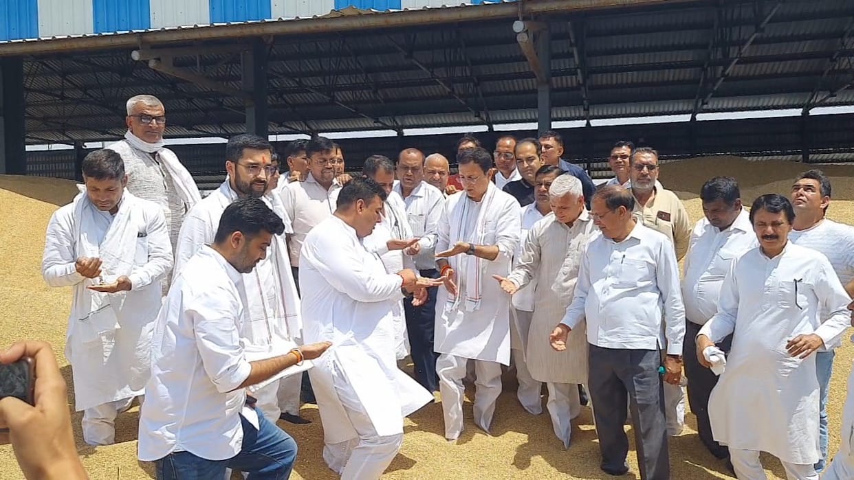 State's grain markets are full, farmers' pockets are empty: Surjewala