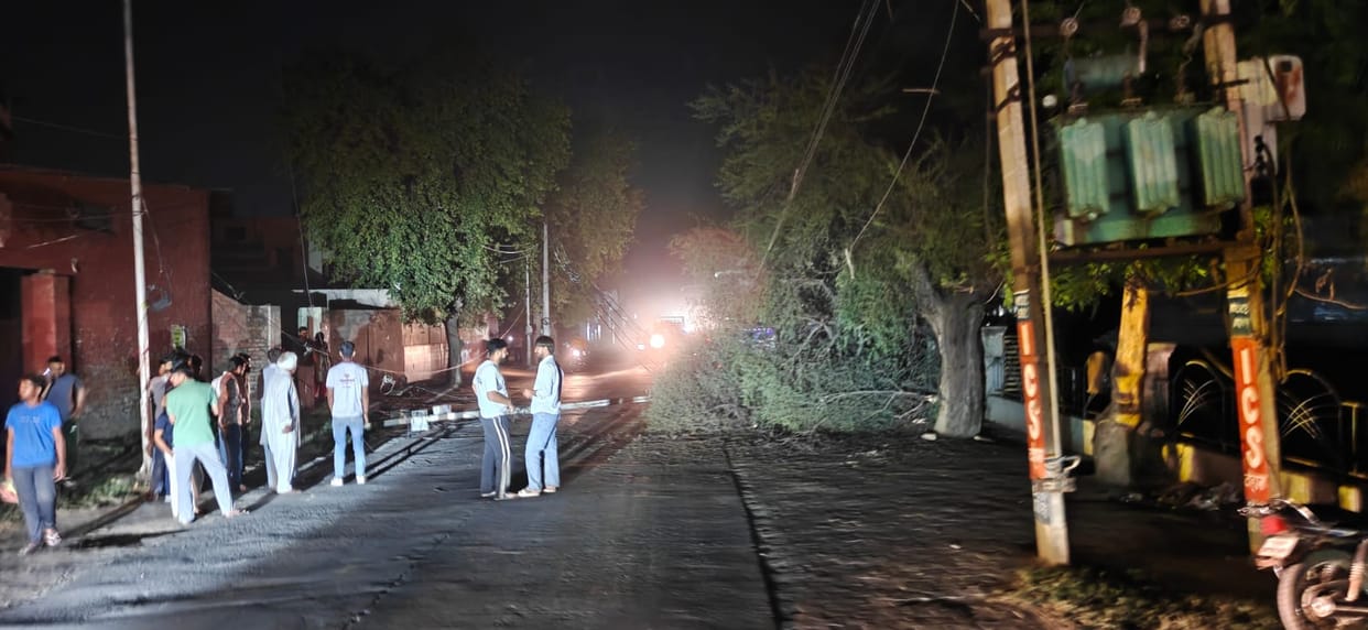 A branch of a kikar tree knocked down an electric pole, blocking the road.