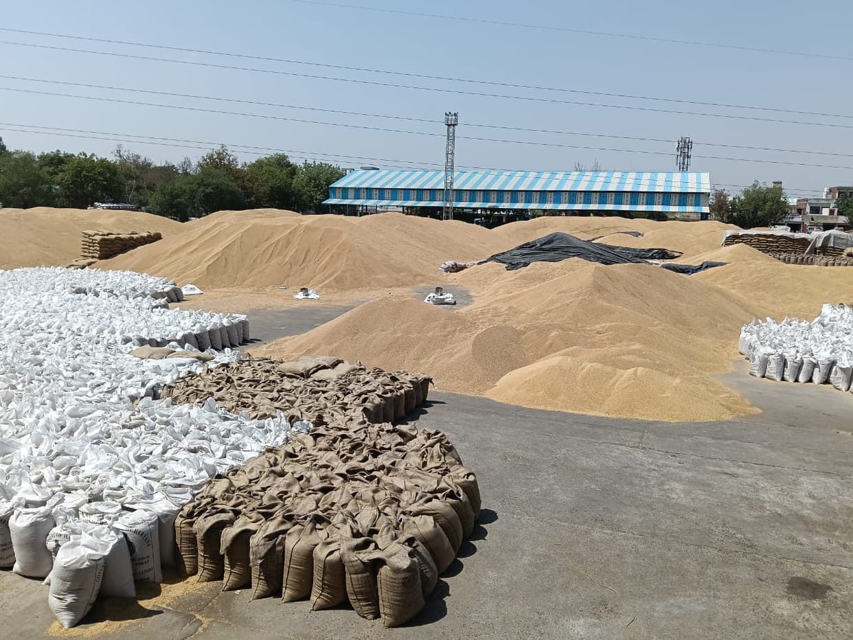 Payment of Rs 13.98 crore for wheat and Rs 1.36 crore for mustard