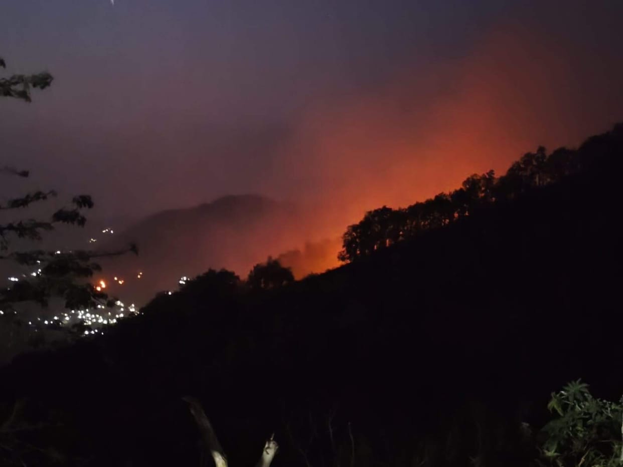 The forests of Guwadi are engulfed in flames