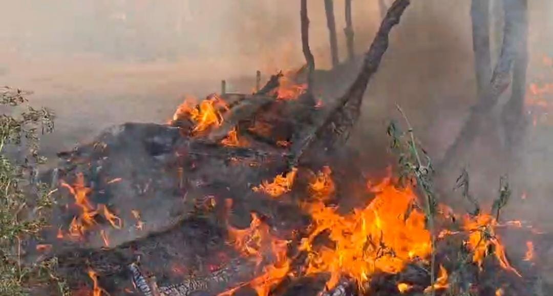 11 huts reduced to ashes due to a spark from the stove, causing loss of lakhs.