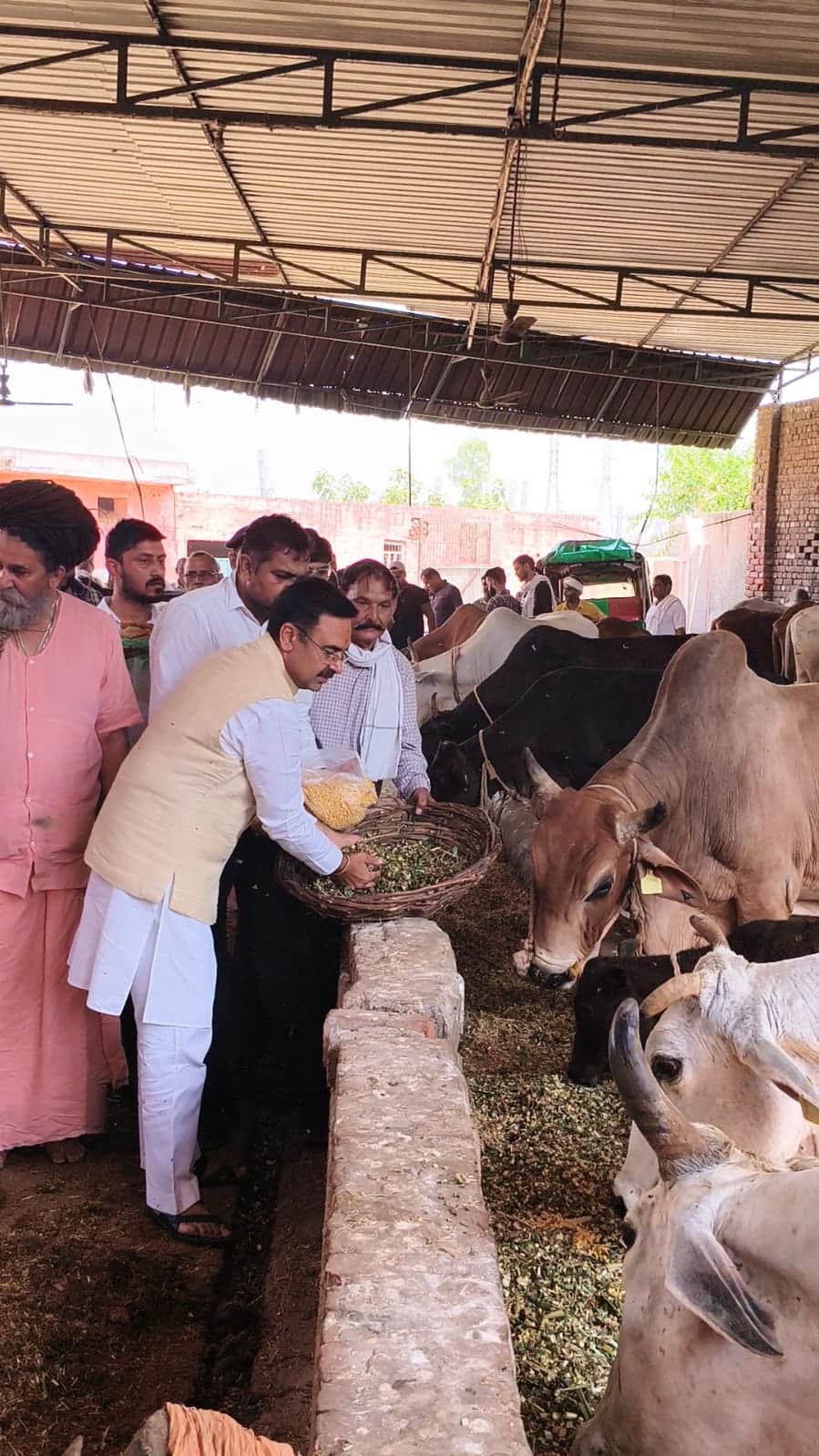 More than Rs 40 lakh given to cow shelters