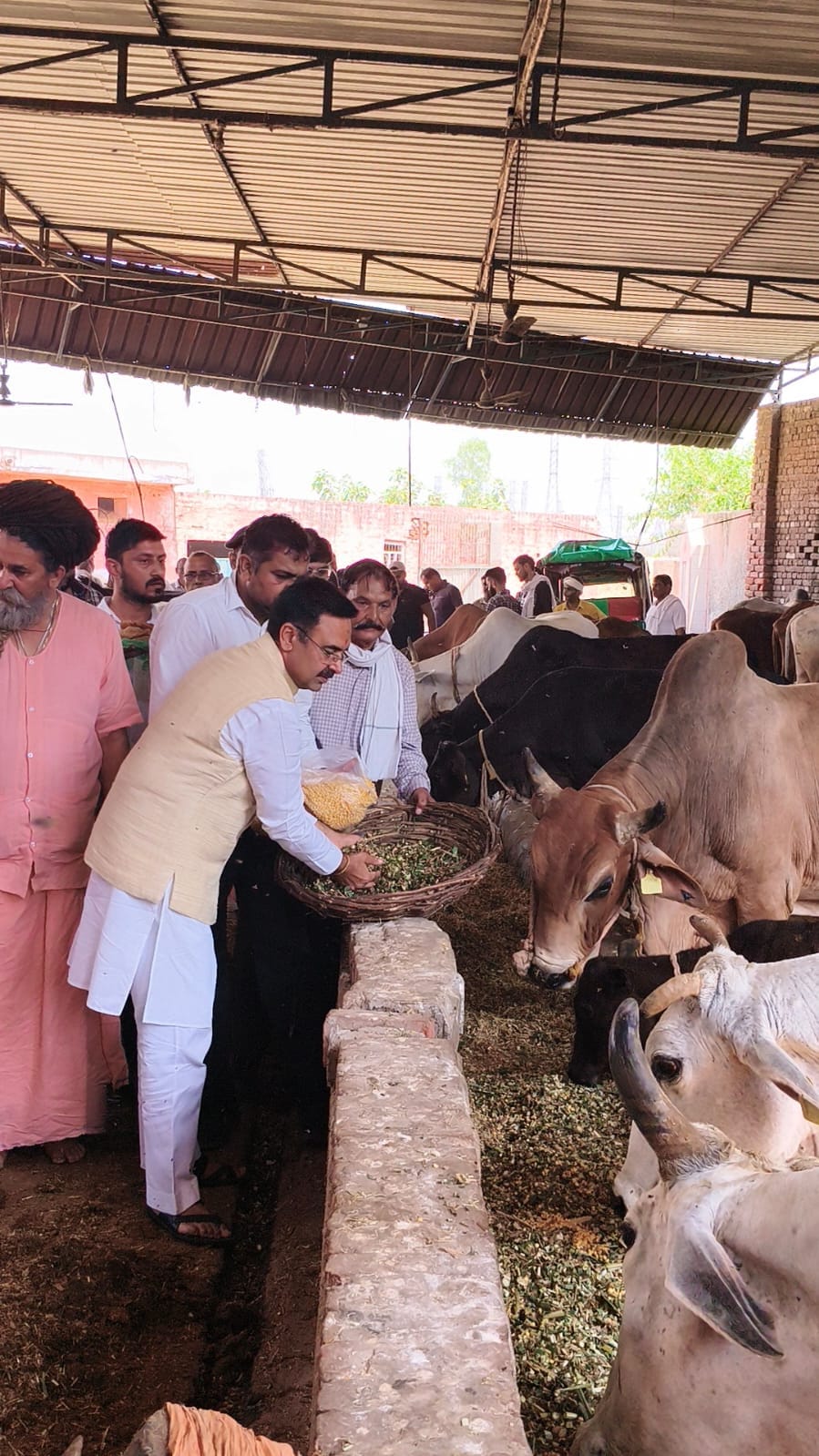 More than Rs 40 lakh given to cow shelters