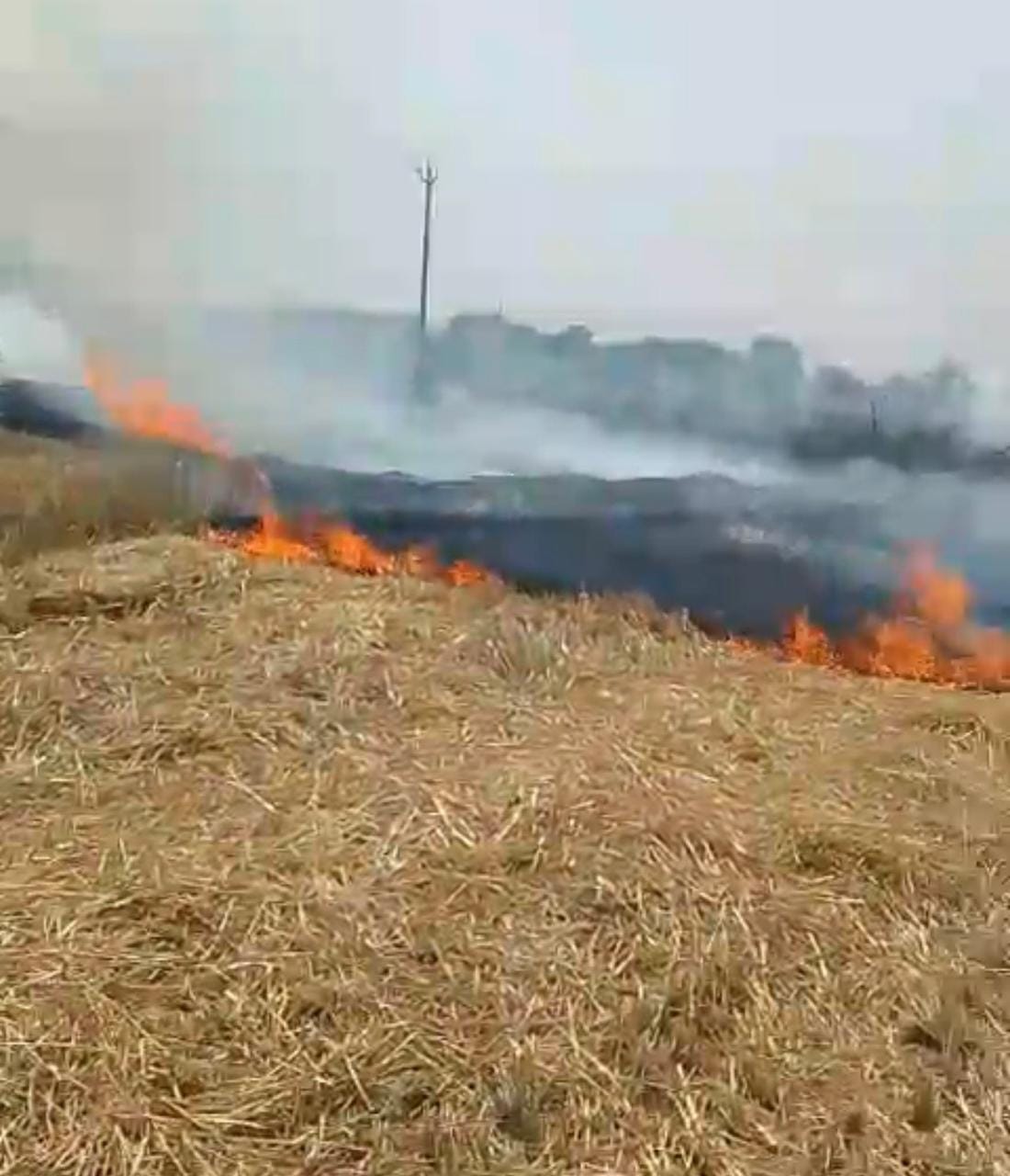 A massive fire broke out in the fields, burning six acres of land.
