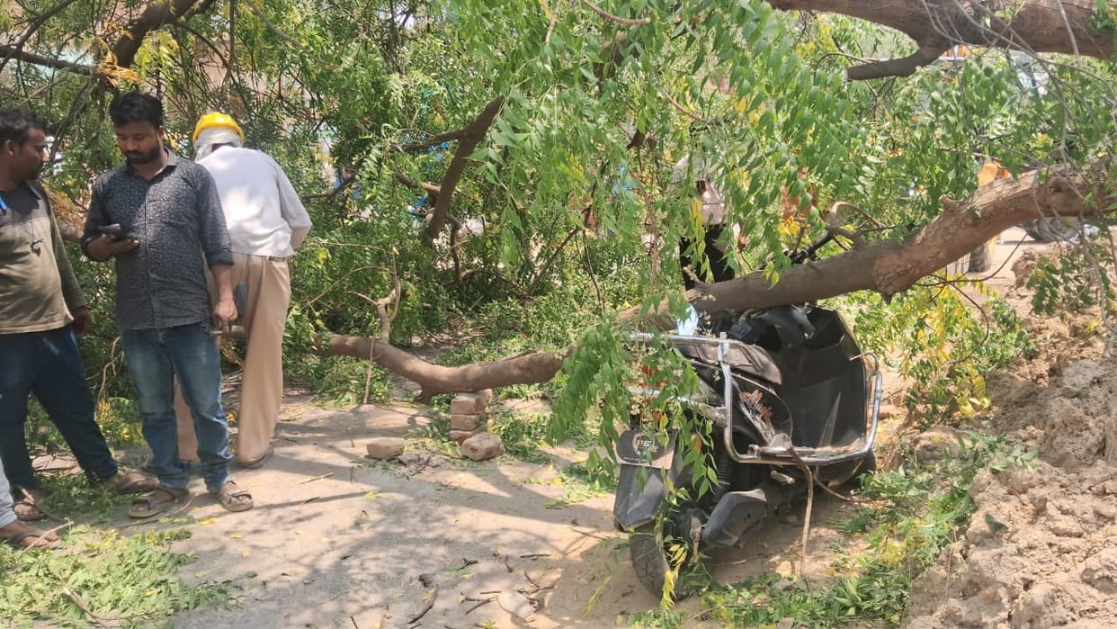 Tree fell on the road, causing a jam on the Akbarpur-Jalalpur route