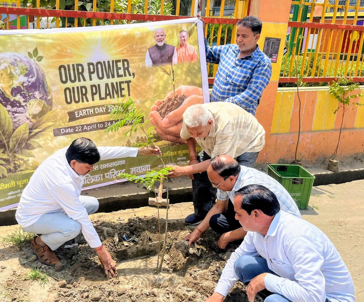 Trees were planted in the park.
