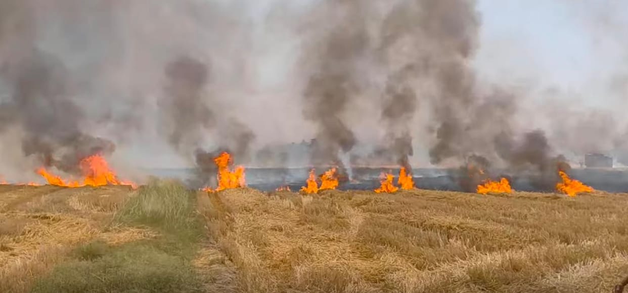 fire in chaff