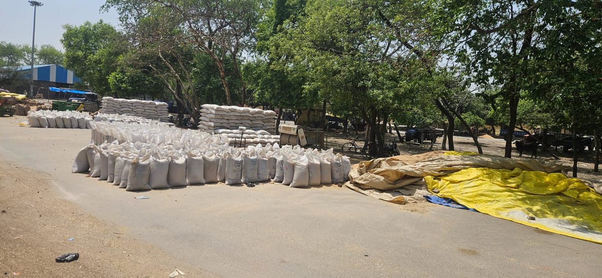 Procurement Center Officials Turn Farmers Away Citing Excess Moisture; Farmers Forced to Sell Wheat at Commission Markets