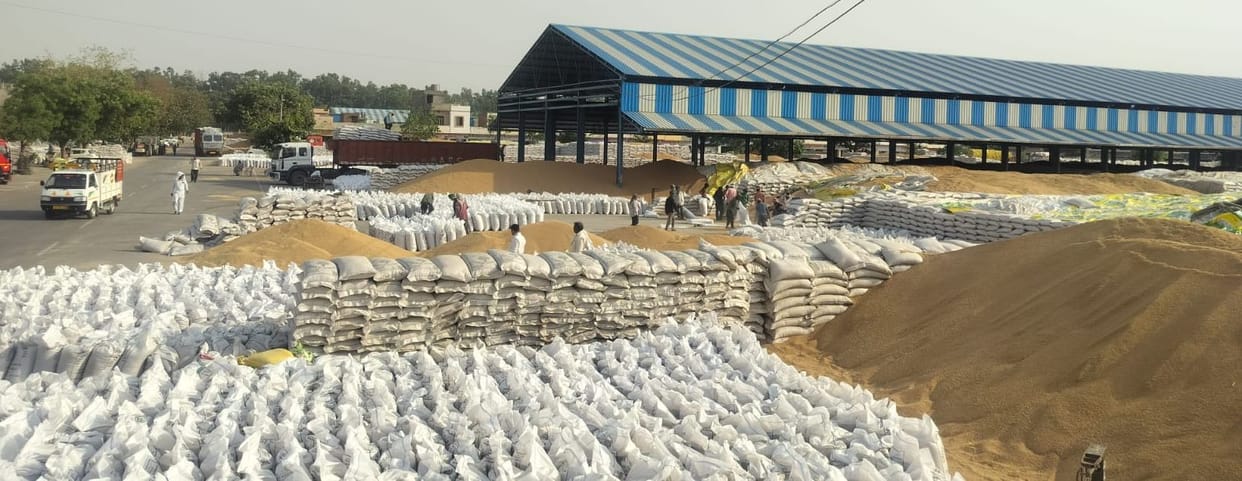 Grain markets procured 70 lakh quintals, but payment was made for only 21 lakh quintals