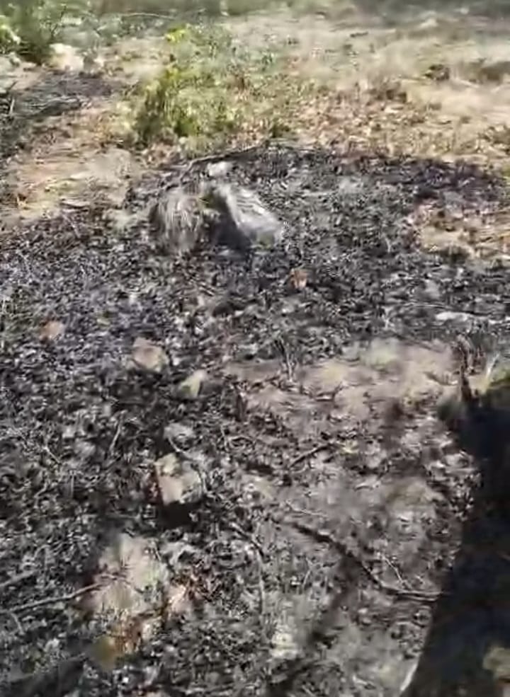 Fire breaks out in cemetery due to pile of garbage.