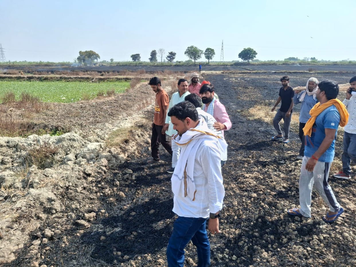 mainpuri news fire in wheat field