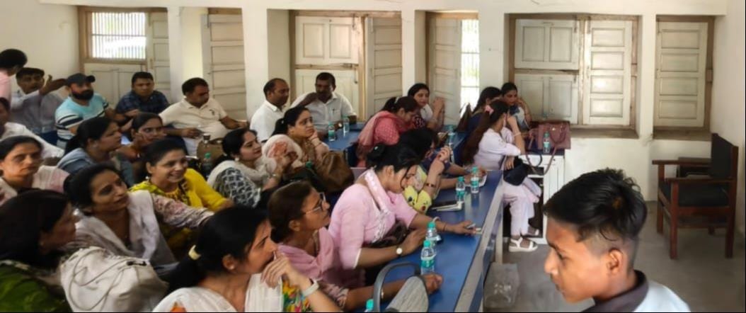 Mentors formulated strategies and underwent training on special teaching.
