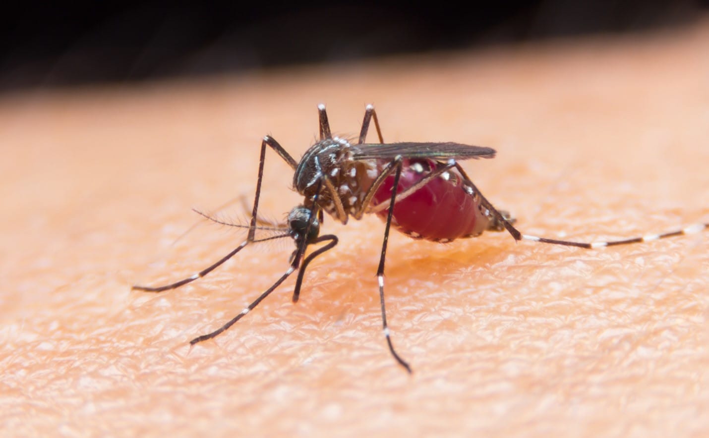 Monsoon Health Guide 2026  most common diseases in monsoon season