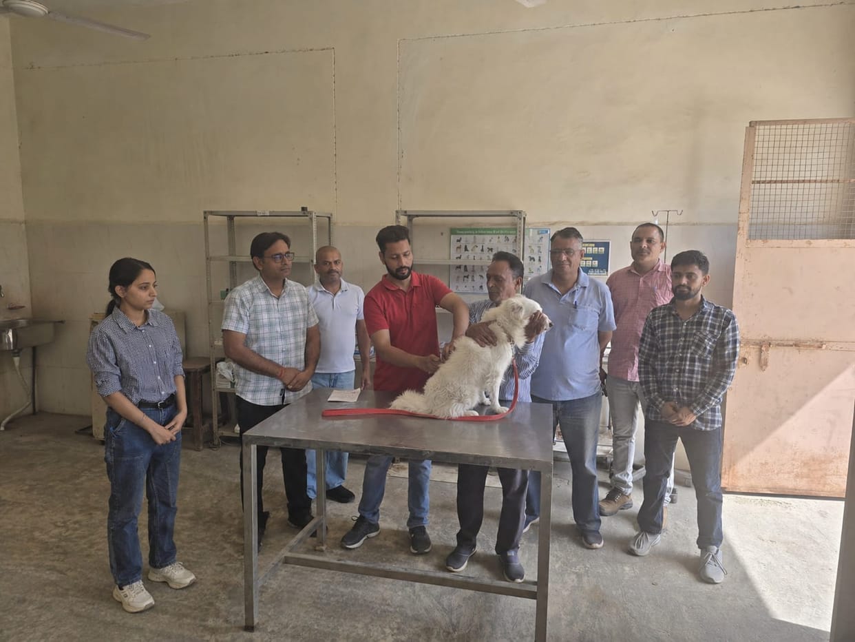World Veterinary Day: Public Awareness Campaign Launched Against Rabies