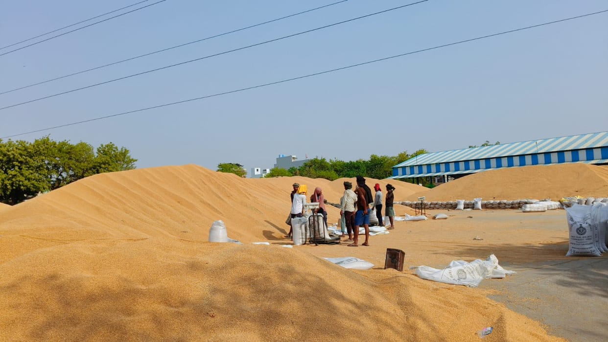2.38 lakh quintals of wheat have been lifted from the district, 2.05 lakh quintals of the purchased crop is still to be lifted