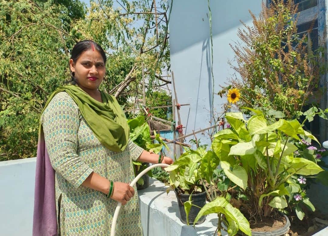 1-देव कॉलोनी स्थित मकान की छत पर बगिया में लगाए पौधों में पानी देती नीरज देवी। संवाद