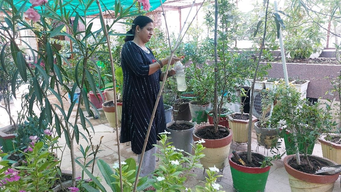 For six years, she has been decorating her courtyard with plants, now the house is filled with the fragrance of daisies.