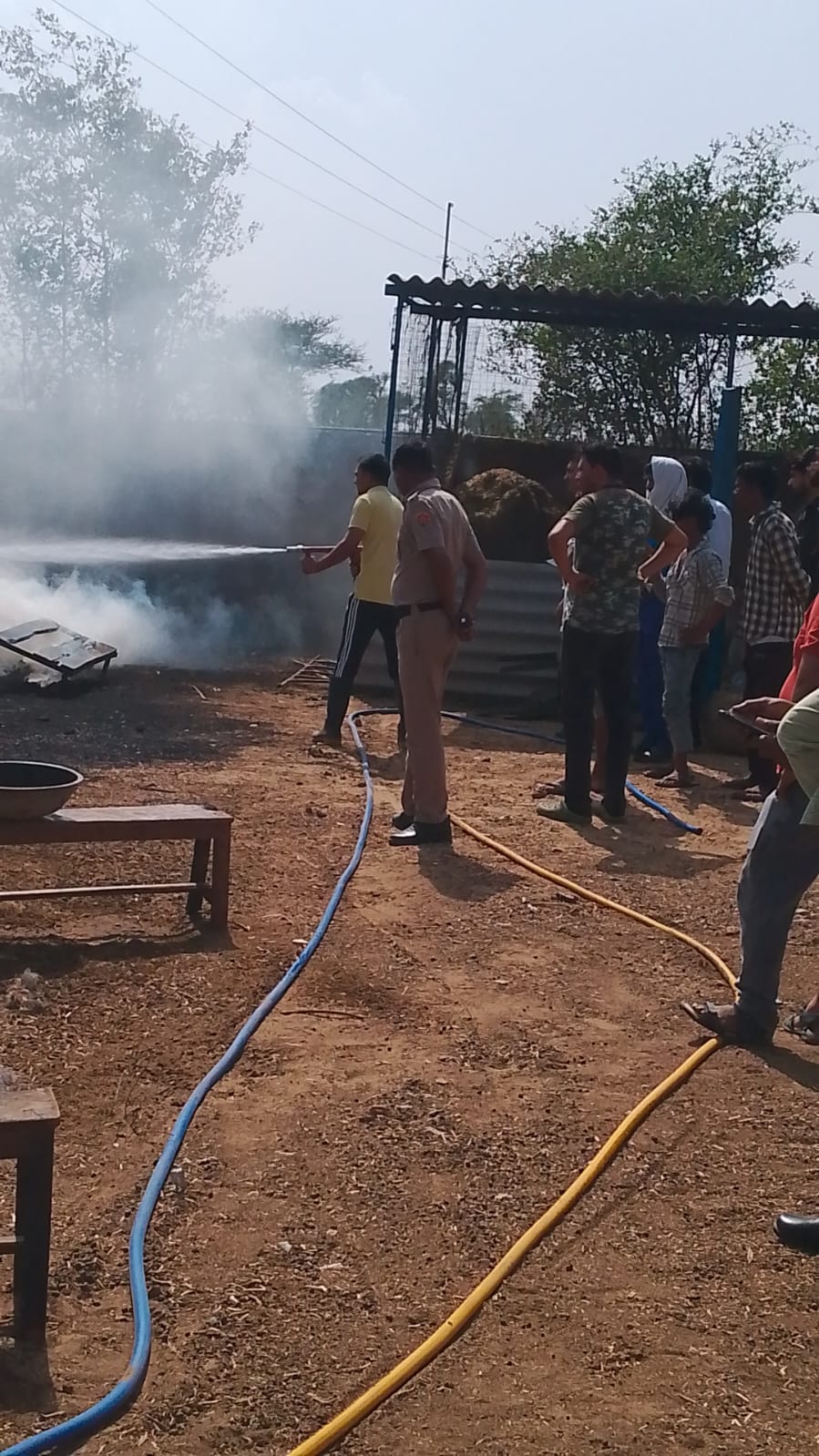 120 Goats Burn to Death in Farm Fire; Owner Collapses