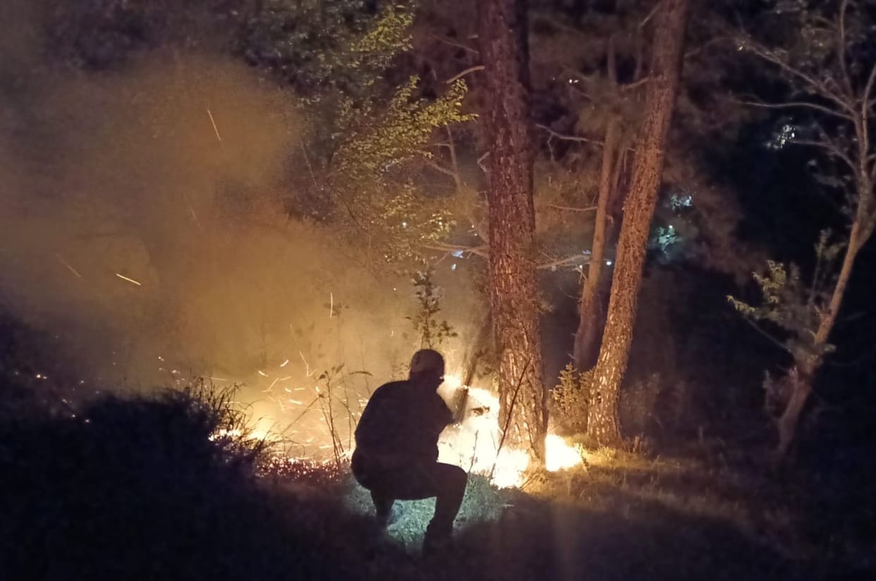A fire broke out in the forest of Ijda, and was brought under control after a lot of hard work.