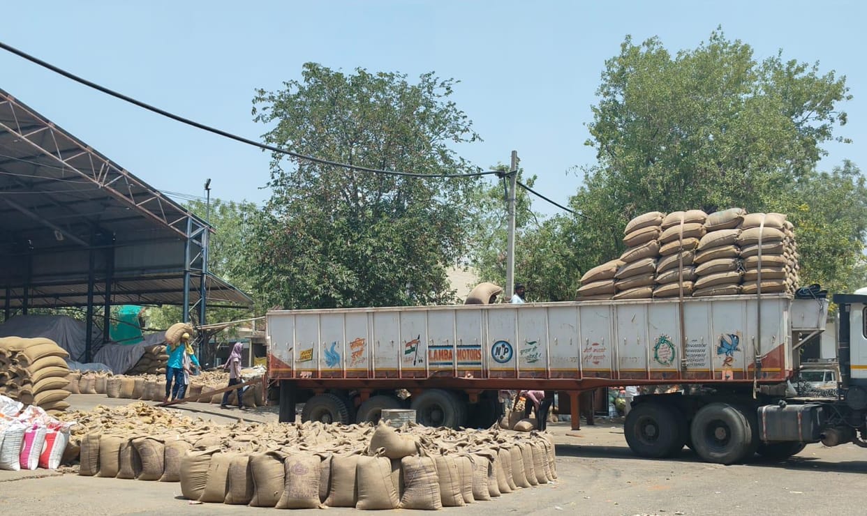 Crop lifting operations continued throughout the day at the market, leaving piles of grain scattered across the premises.