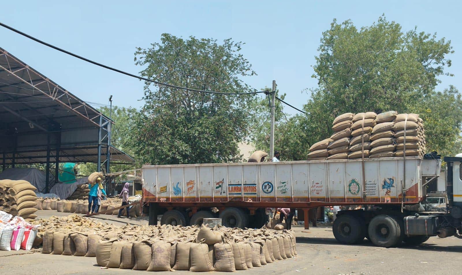 फसल का उठान कर गाड़ी में लोड करते श्रमिक। संवाद