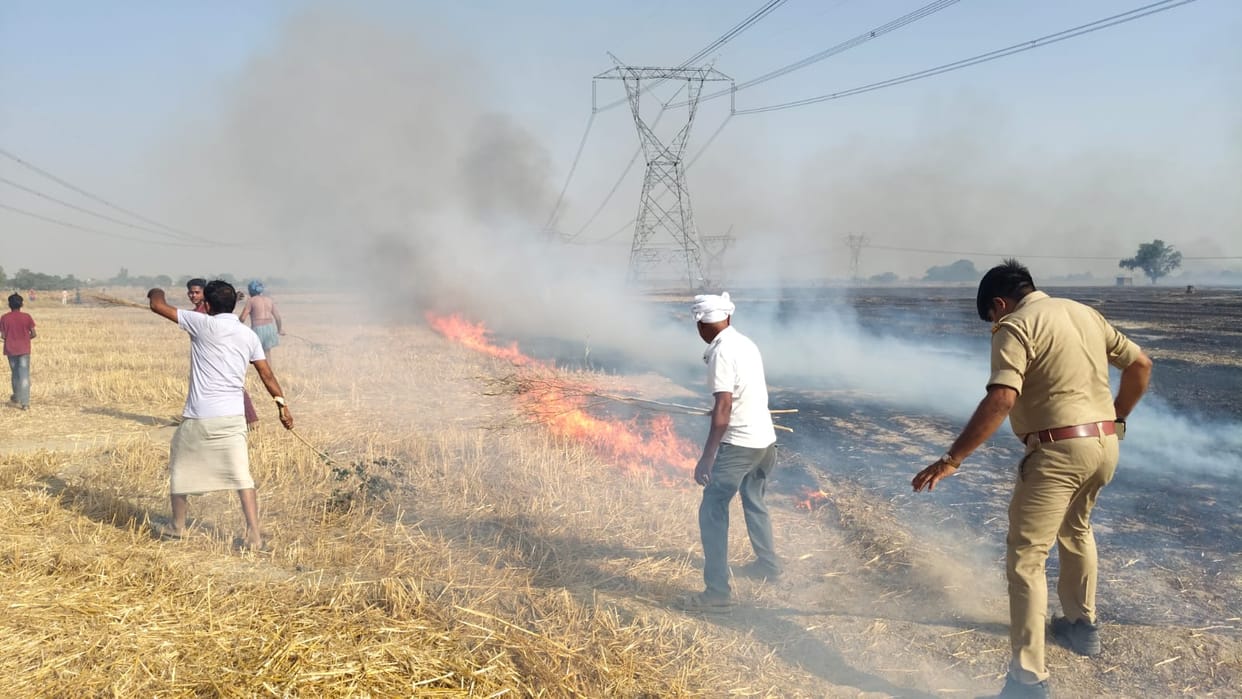 Fire broke out in 80 bigha field, burning crop residue and straw.