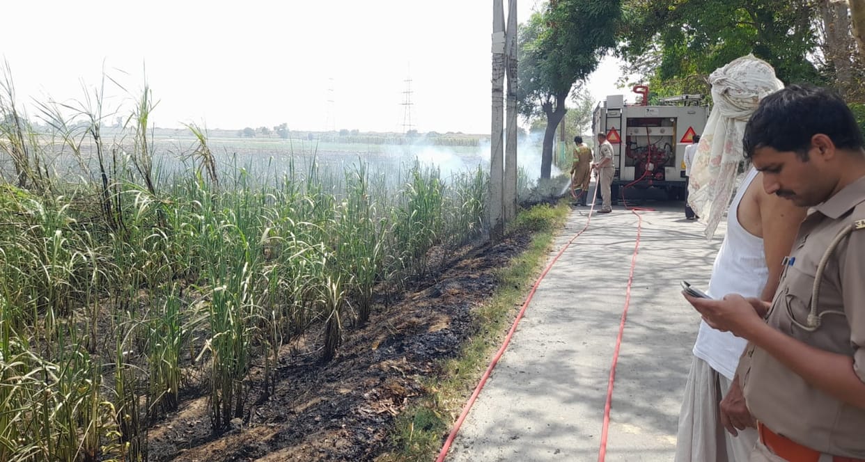 A fire in a sugarcane field destroyed one bigha of crop