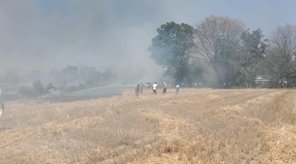 Straw and wheat crops were burnt in 107 canal area in Jawali