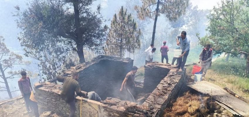 Forest wealth reduced to ashes due to fire in Bakhras forest, apple trees also destroyed