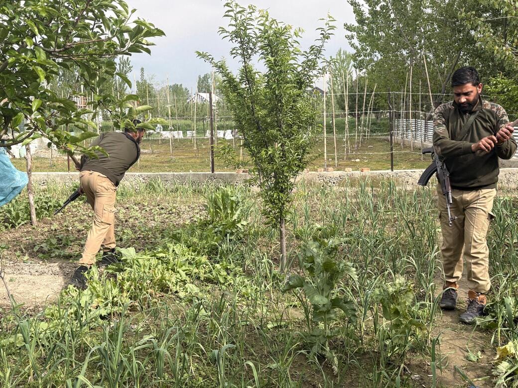 Srinagar, Destroyed Opium Crop, Police Taken Action, Anantnag