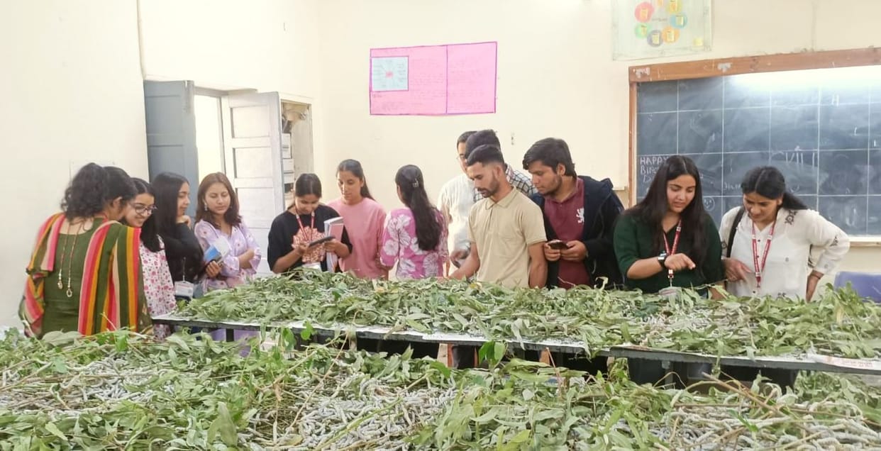 Geography department students are learning the intricacies of sericulture.