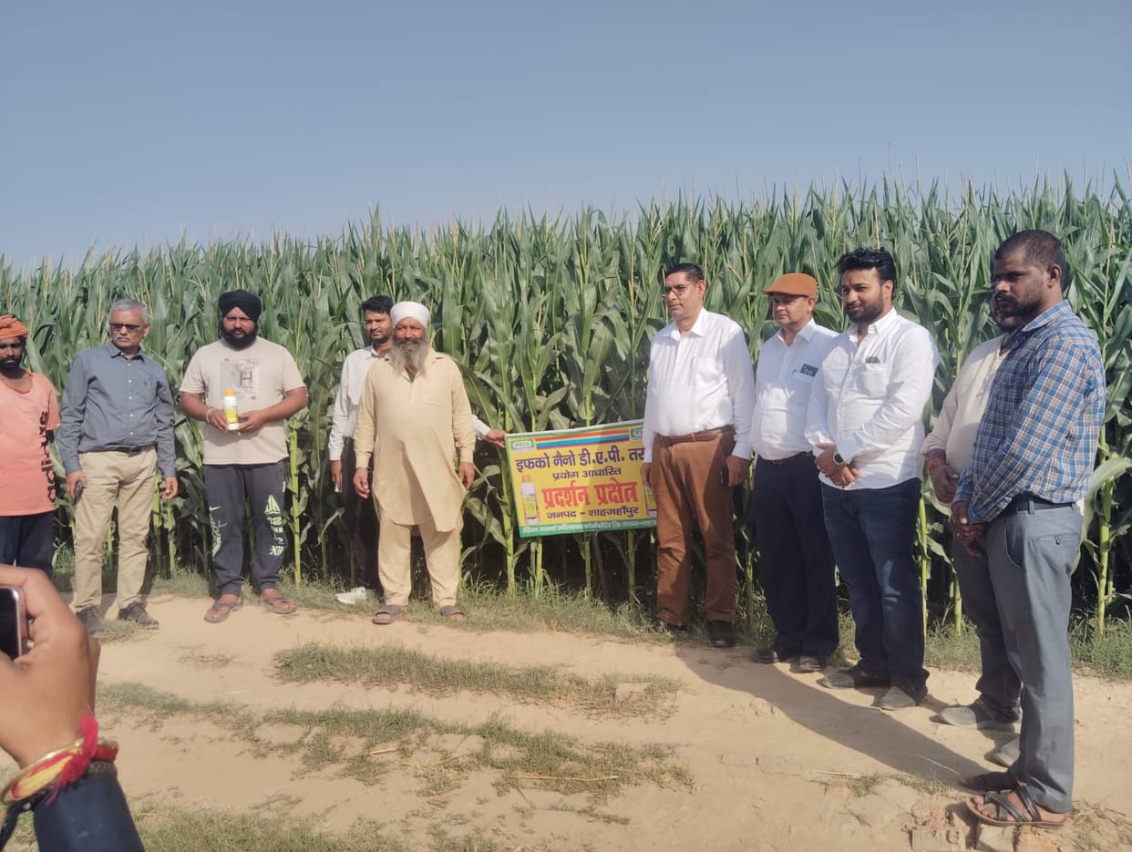 Use of Granular Fertilizer in Crops Reduced by 50% with Nano DAP
