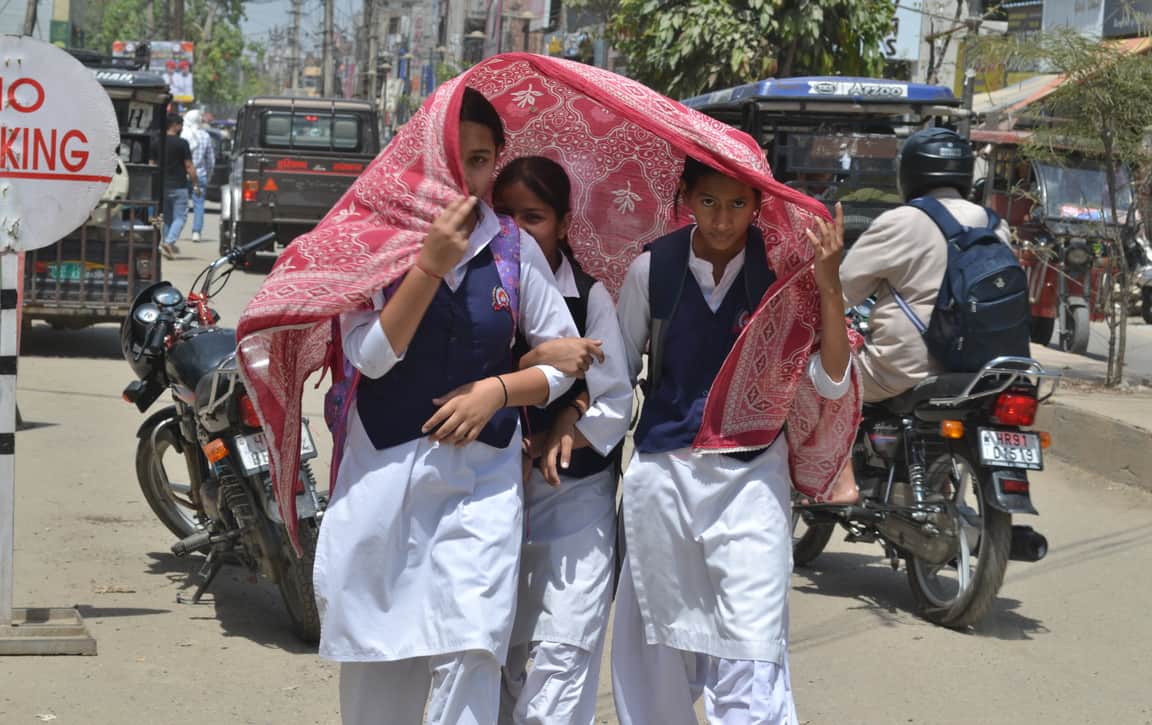 Life scorched at 43 degrees