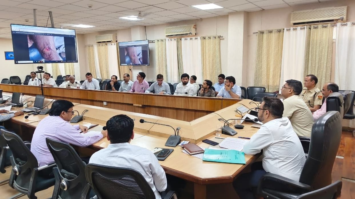 Provide Immediate Assistance to Victims of Accidents Caused by Stray Animals: Deputy Commissioner