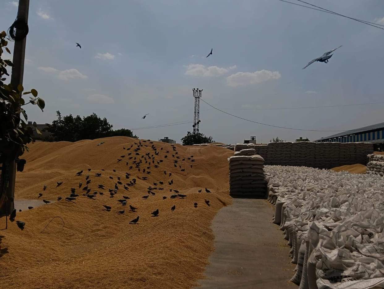 Payments pending, farmers' concerns grow, instructions from the Deputy Speaker and DC ineffective